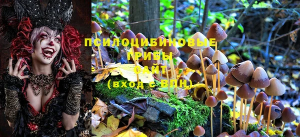 гидропоника Снежинск