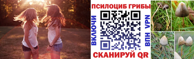 Галлюциногенные грибы ЛСД  купить наркоту  мега маркетплейс  Макушино 